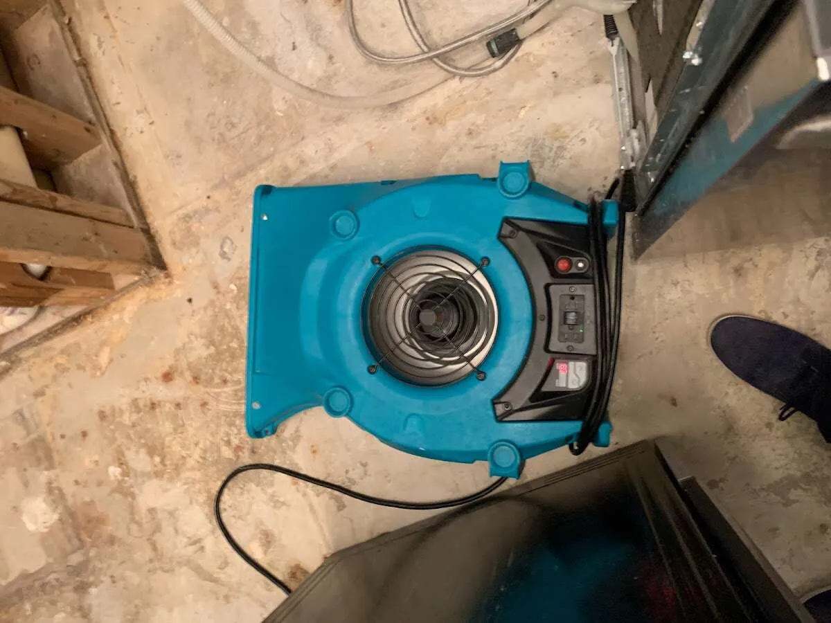 Air mover drying equipment for Mold Remediation & Removal in Old Forge